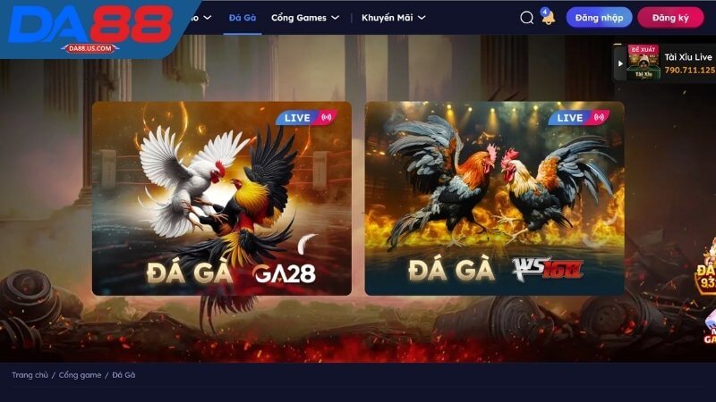 Sảnh cá cược Đá Gà Da88